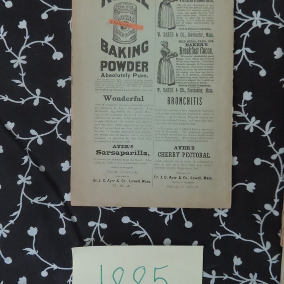 Vick's Illustrated Monthly Magazine  Lot x 33 1800s - Picture 9 of 12